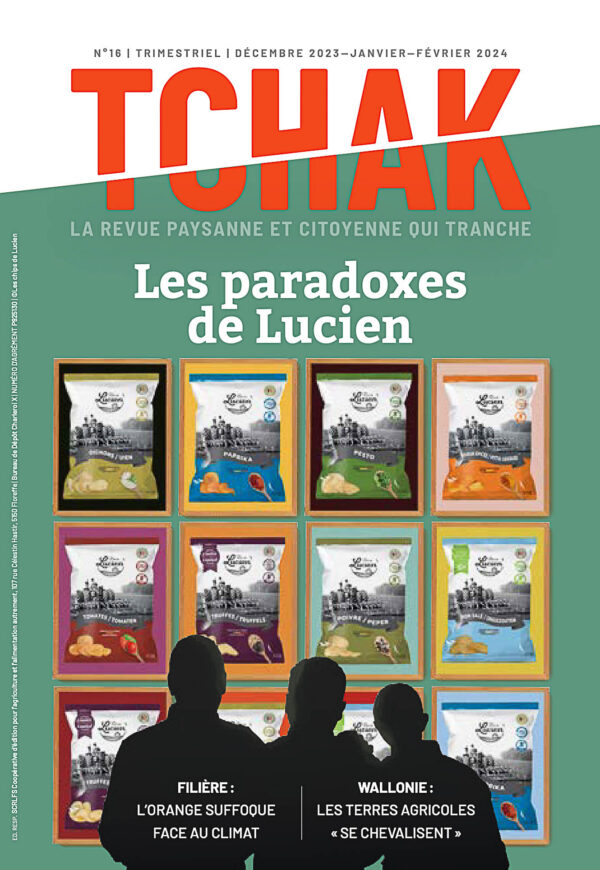 Numéro 16