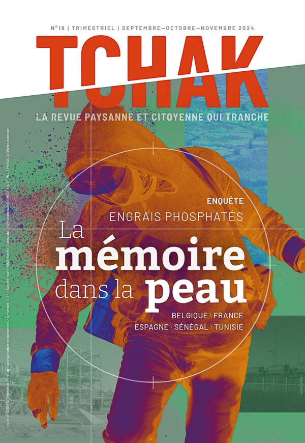 Numéro 19
