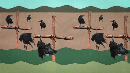 Corvidés