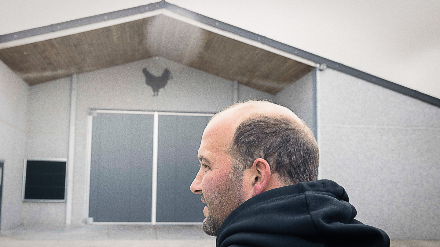Poulaillers industriels