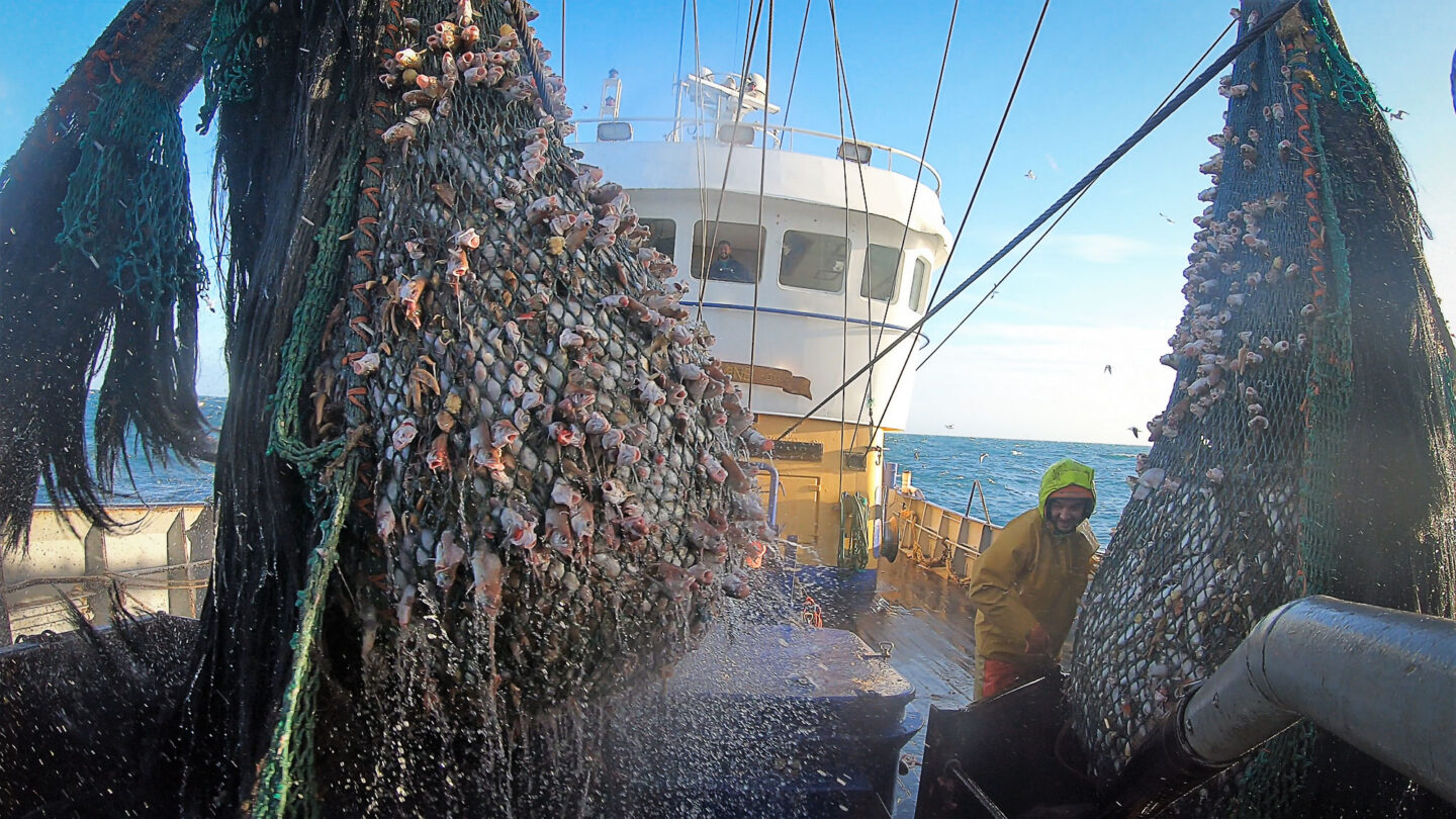 La pêche belge est-elle durable ?