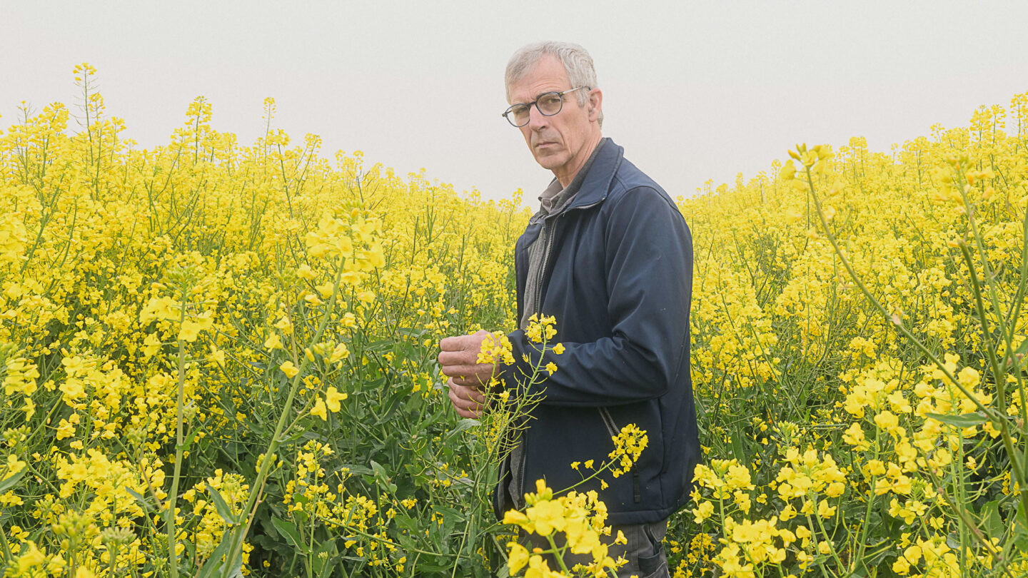 L'agriculteur Jacques Anciaux (Héron) dans un champs de colza.