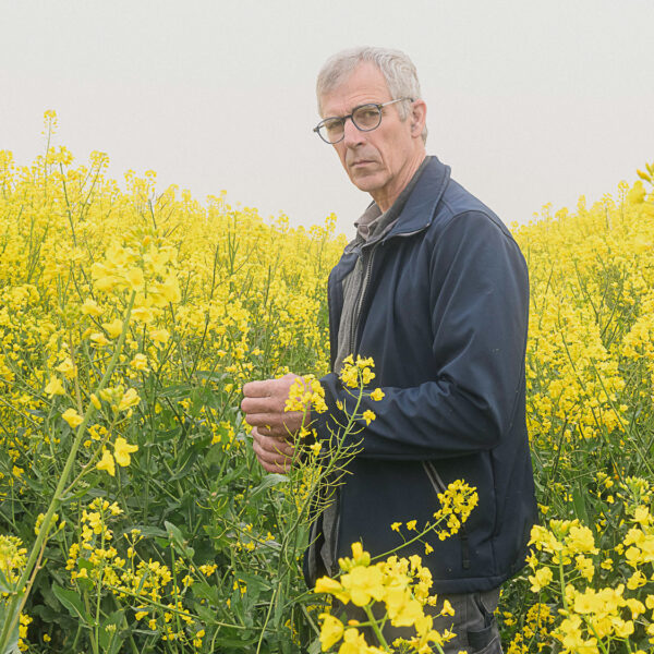 L'agriculteur Jacques Anciaux (Héron) dans un champs de colza.