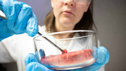 Jeune chercheuse manipulant de la viande artificielle en laboratoire