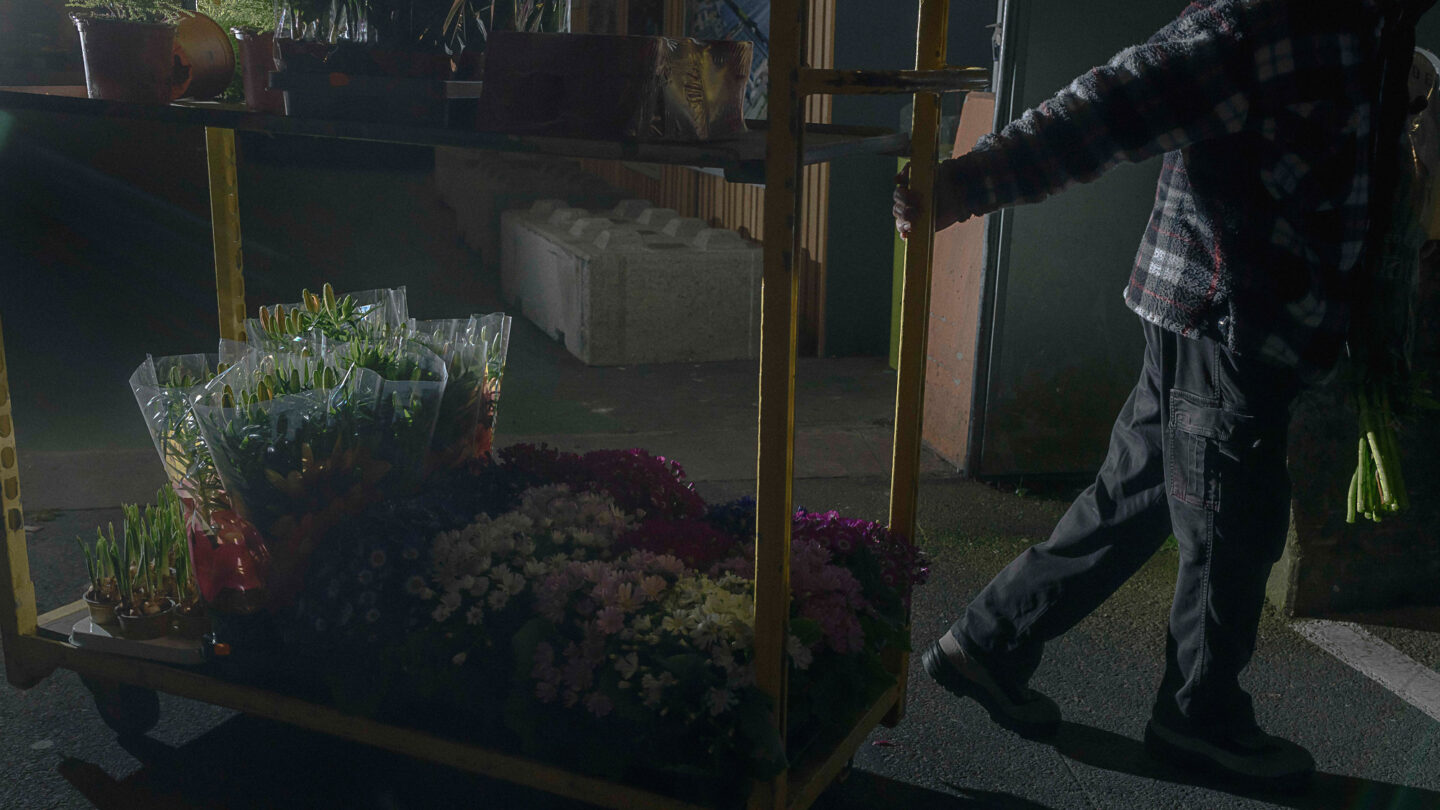 Un fleuriste tire un roll avec des fleurs en pot.
