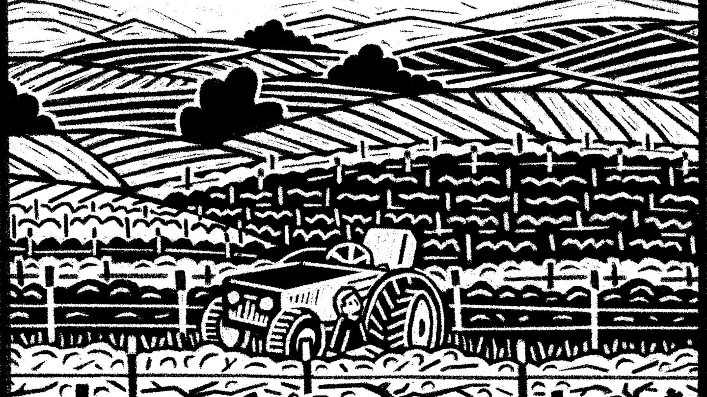 Dessin d'un paysage agricole en Palestine.