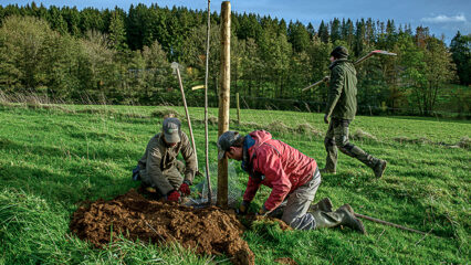 Deux personnes sont en train de planter un arbre fruitier.
