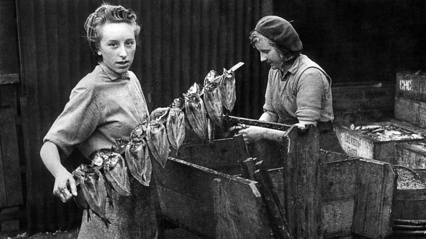 Conserver pour mieux régner, ou la victoire des additifs industriels