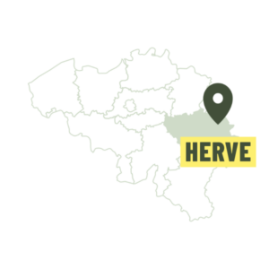Herve