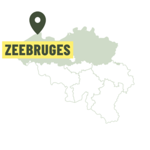 Zeebruges