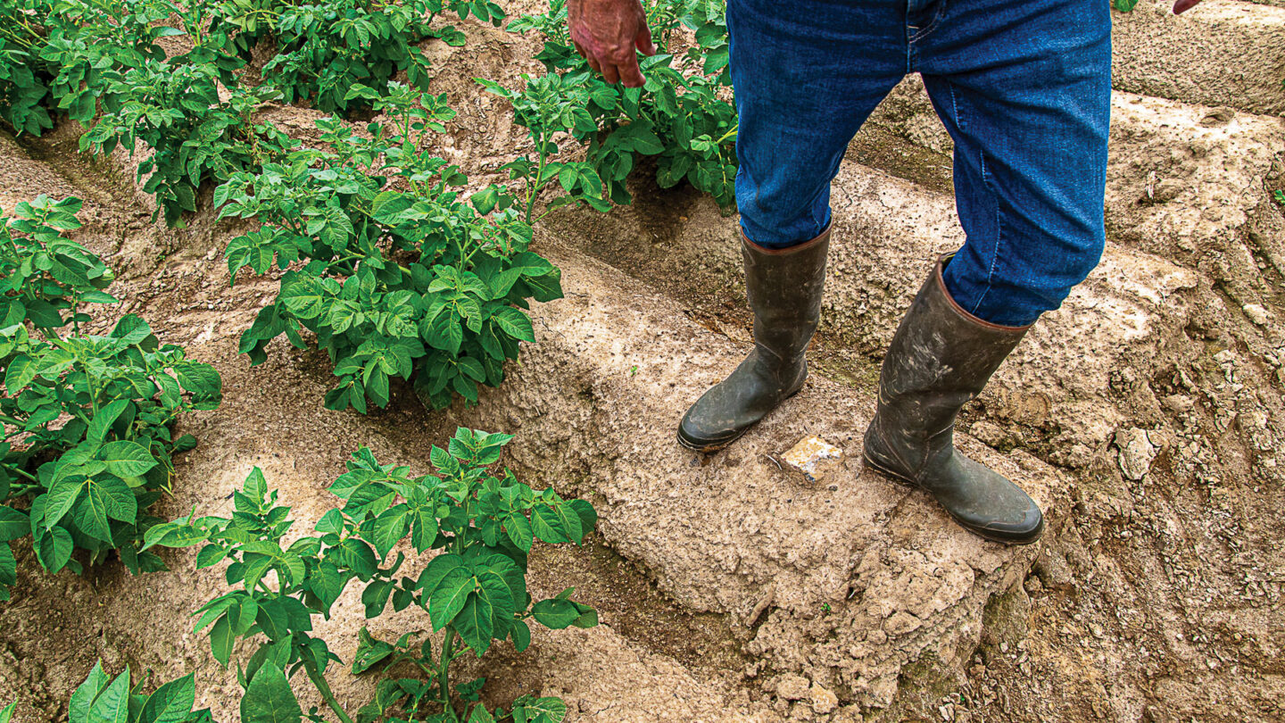 Erosion des sols : des solutions existent