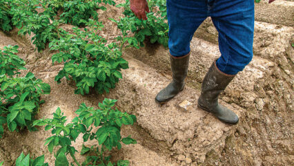 Erosion des sols : des solutions existent