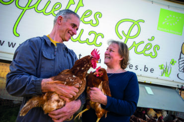 Depuis que Daniel Collienne et son épouse Suzanne Desmidt ont médiatisé leur acquisition de poulaillers mobiles, ils sont régulièrement contactés par des agriculteurs qui s’intéressent à ce système d’élevage.