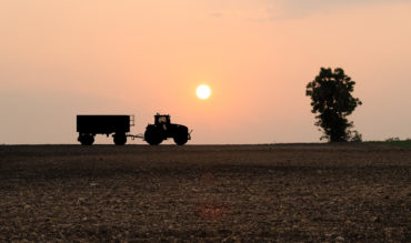 Relocalisation de l'alimentation: ça veut dire quoi ? © Philippe Lavandy