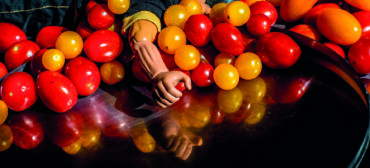 Den Berk Délice tomates