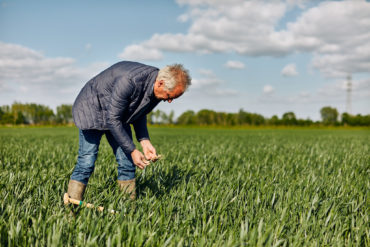 Farming4Climate - Etienne Allard, ferme de Warelles