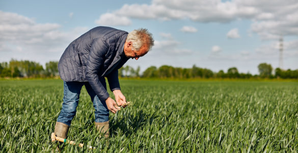 Farming4Climate - Etienne Allard, ferme de Warelles