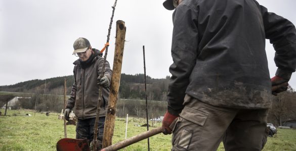 Travailleurs agricoles