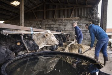 Sexisme: des agricultrices témoignent