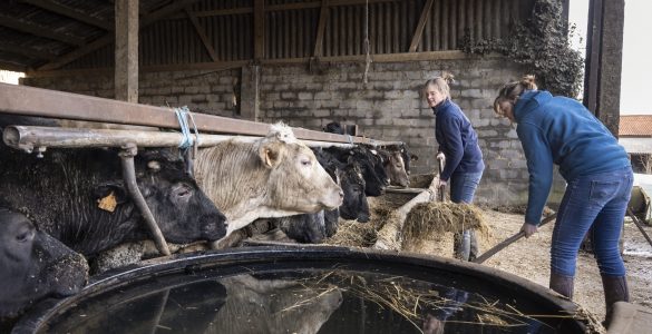 Sexisme: des agricultrices témoignent