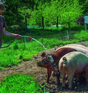 Agriculture sociale