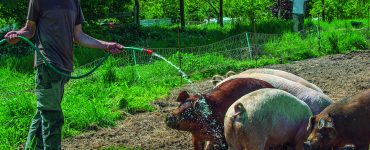 Agriculture sociale