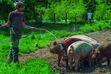 Agriculture sociale