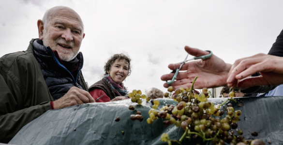 Vignobles wallons