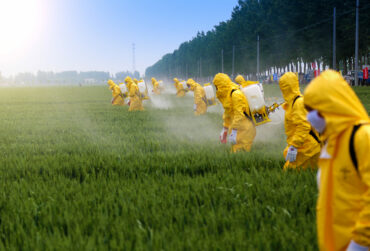 Pesticides interdits