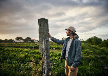 Terres agricoles