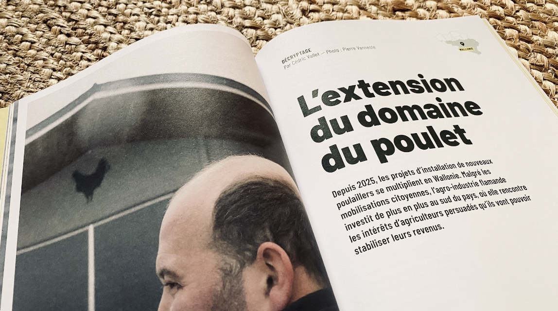 Poulaillers industriels Wallonie