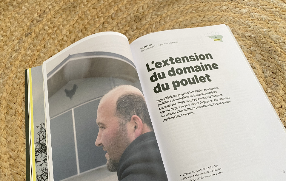 Poulaillers industriels Wallonie